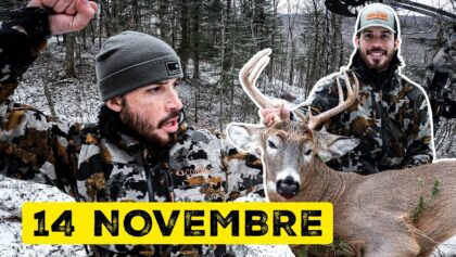 CHASSE au Chevreuil FULL RUT! (Femelle en Chaleur)