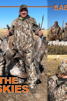 Chasser les canards, les oies et les grues du Canada dans le ciel des prairies