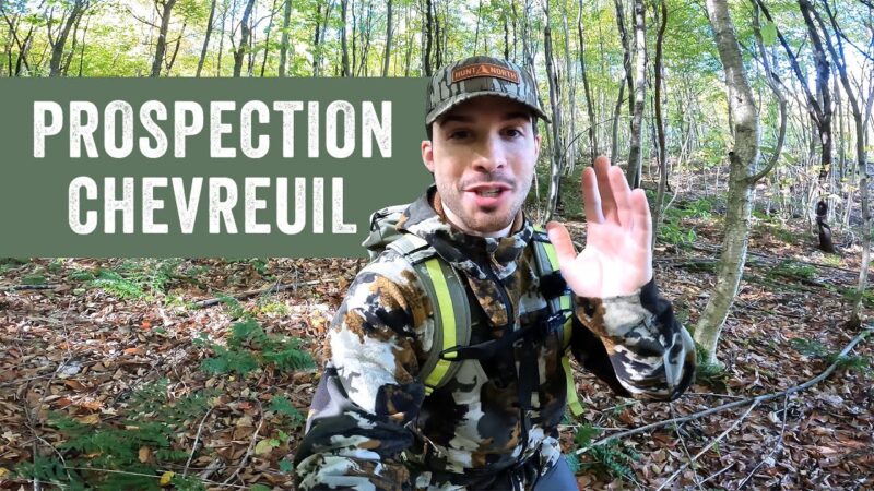 PROSPECTION Chasse au Chevreuil! (30 SEPTEMBRE)