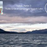 Yukon, Partie 2, Truite Grise et camping à Taggish Lake