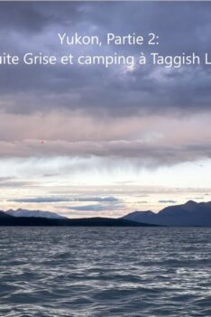 Yukon, Partie 2, Truite Grise et camping à Taggish Lake