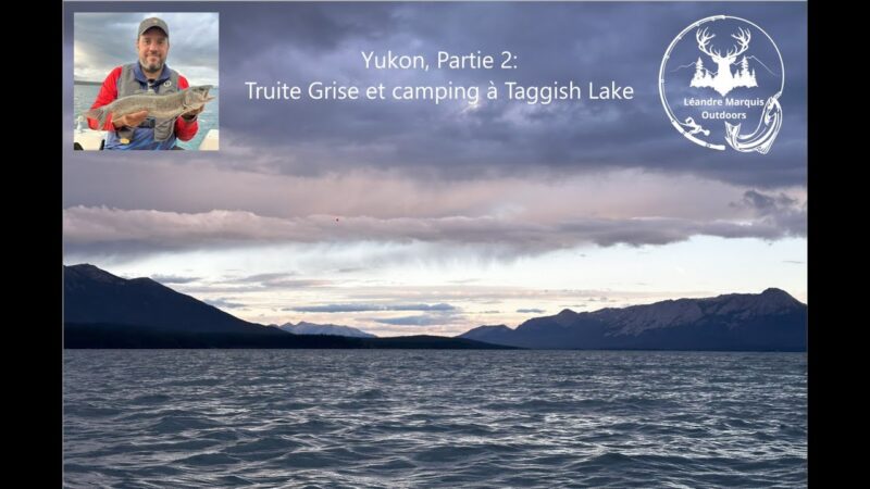 Yukon, Partie 2, Truite Grise et camping à Taggish Lake