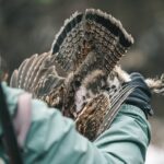 Voyage de Couples aux Petits Gibiers en Mauricie